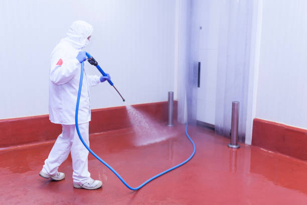 Best Boat and Dock Cleaning  in Commerce, OK
